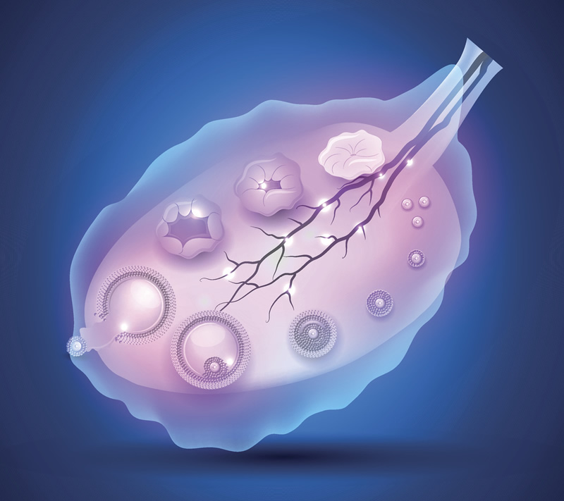 苏州试管三甲医院_苏州哪里试管成功率比较高！
